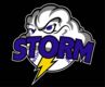 Storm Elite