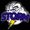 Storm Elite Decal Thumbnail